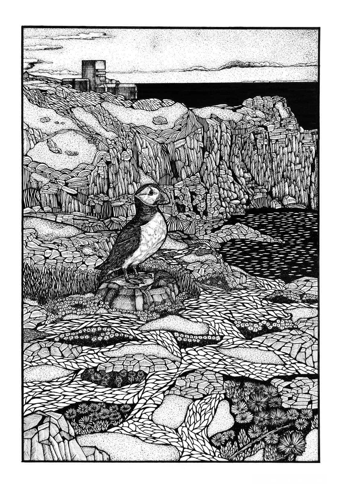 Puffin At Pleinmont Tower, Guernsey - original artwork by Natasha K. HE