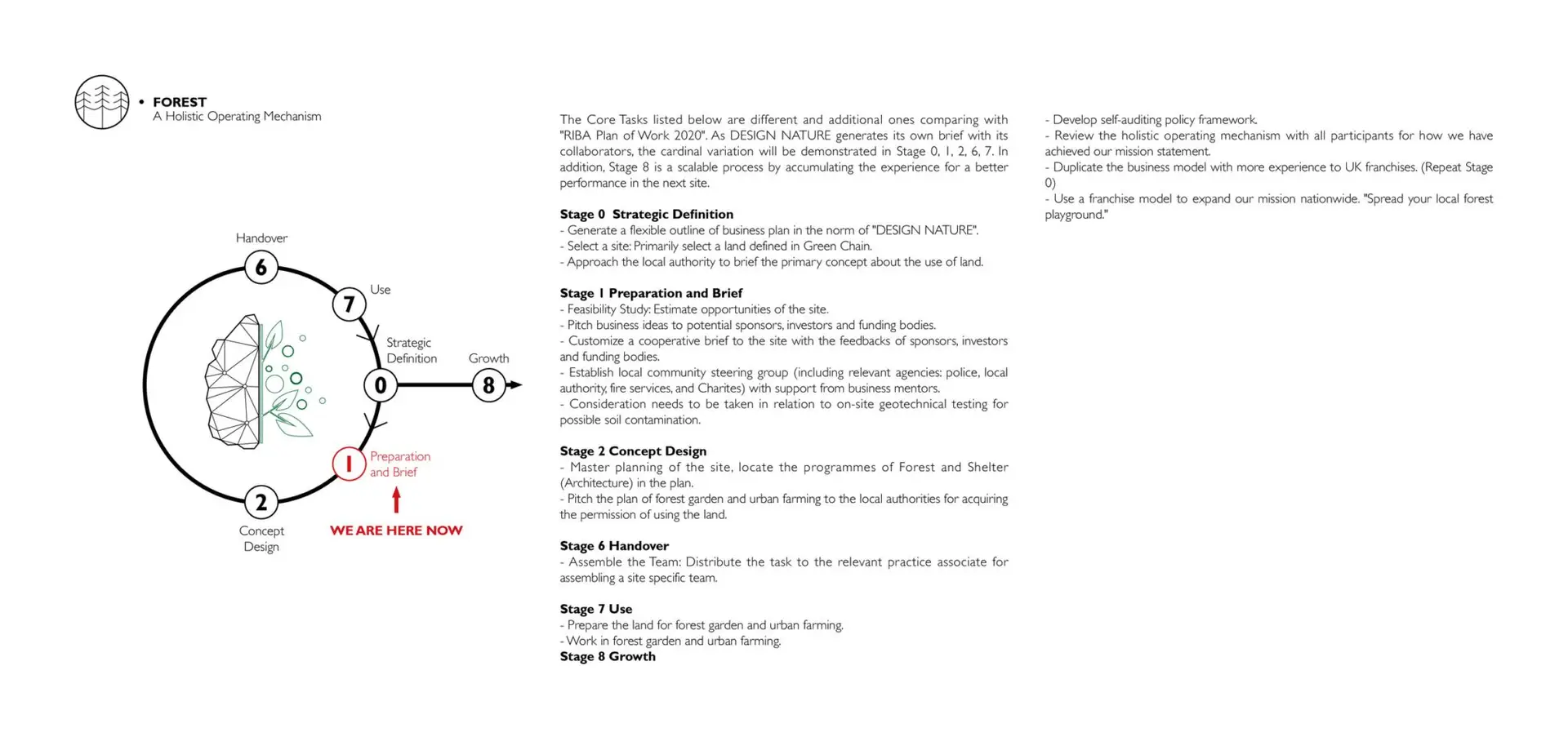 DESIGN NATURE-Report_s26